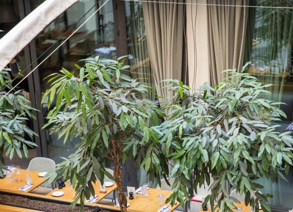 Flora Danica, Restaurant, Paris, Île-de-France, France